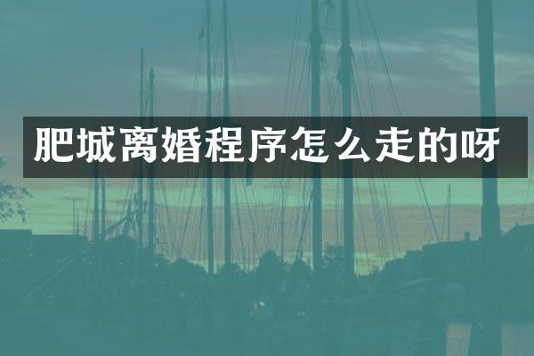 肥城离婚程序怎么走的呀