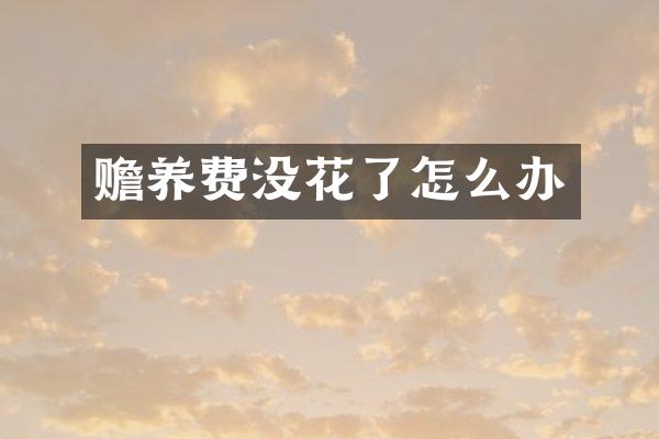 赡养费没花了怎么办