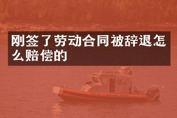 刚签了劳动合同被辞退怎么赔偿的