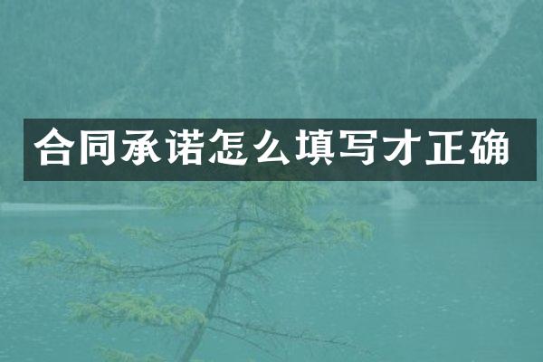 合同承诺怎么填写才正确