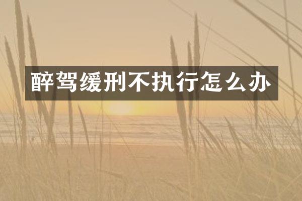 醉驾缓刑不执行怎么办