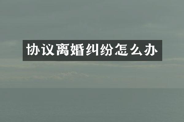 协议离婚纠纷怎么办