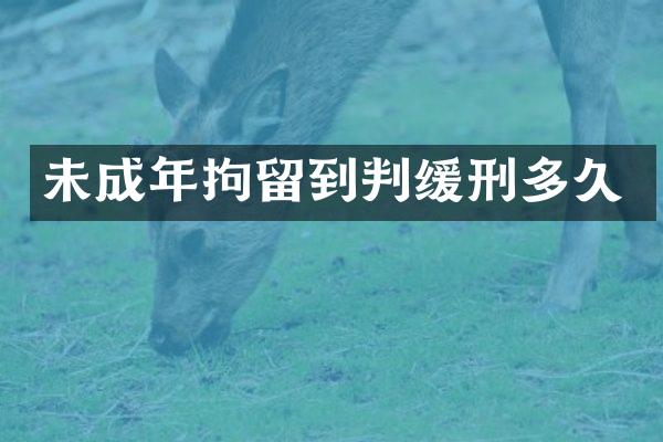 未成年拘留到判缓刑多久