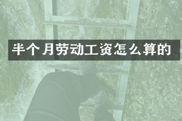 半个月劳动工资怎么算的