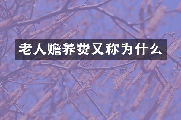 老人赡养费又称为什么