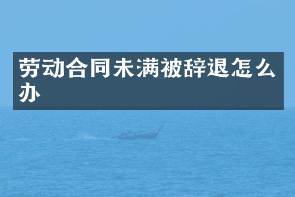 劳动合同未满被辞退怎么办