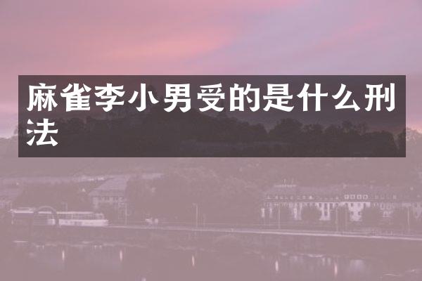 麻雀李小男受的是什么刑法