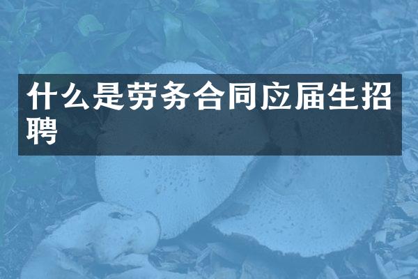 什么是劳务合同应届生招聘