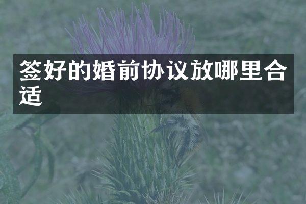 签好的婚前协议放哪里合适