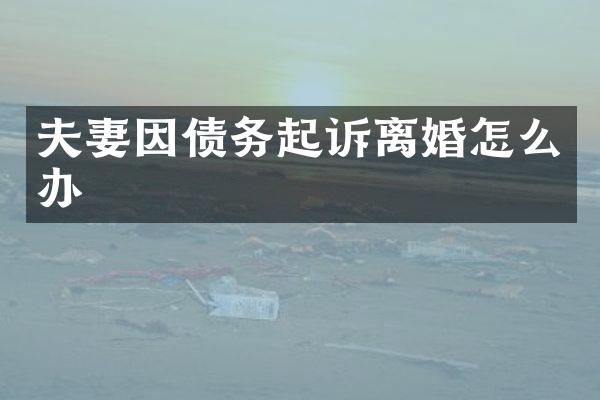 夫妻因债务起诉离婚怎么办