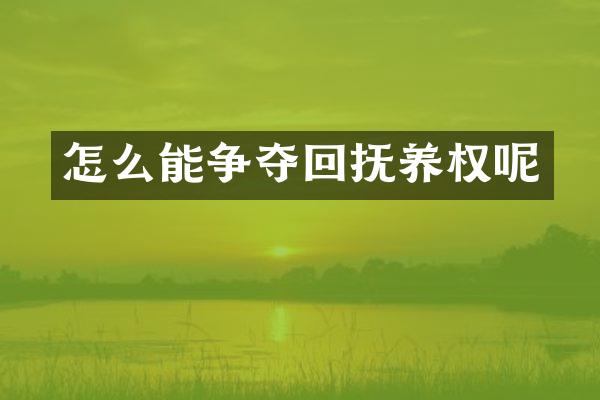 怎么能争夺回抚养权呢