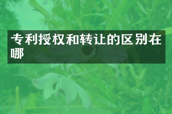 专利授权和转让的区别在哪