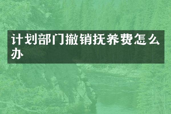 计划部门撤销抚养费怎么办