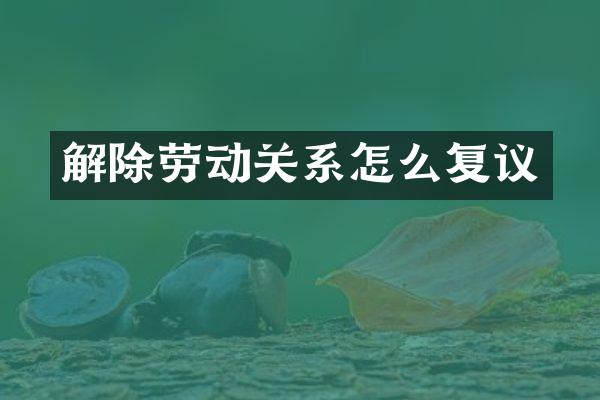 解除劳动关系怎么复议