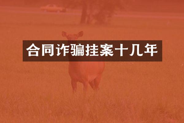 合同诈骗挂案十几年