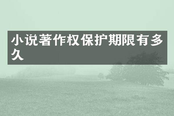 小说著作权保护期限有多久