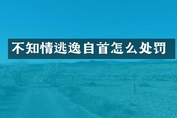 不知情逃逸自首怎么处罚