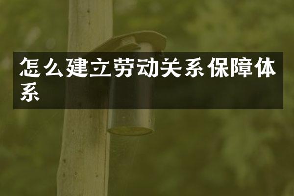 怎么建立劳动关系保障体系