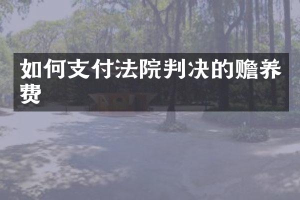 如何支付法院判决的赡养费