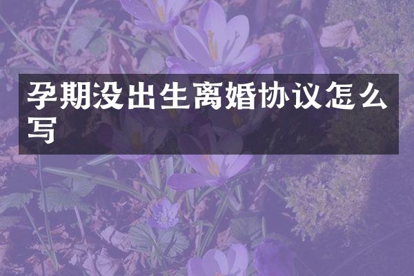 孕期没出生离婚协议怎么写