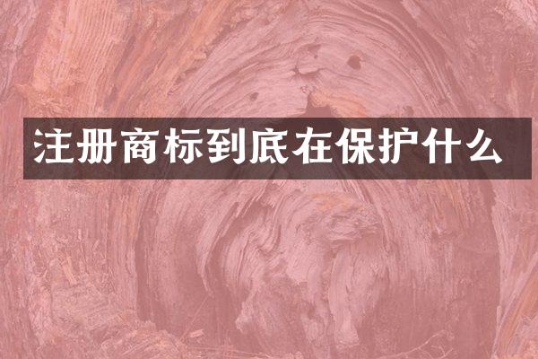 注册商标到底在保护什么