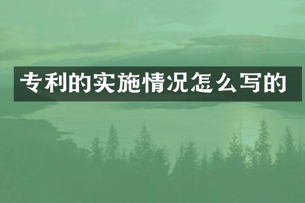 专利的实施情况怎么写的