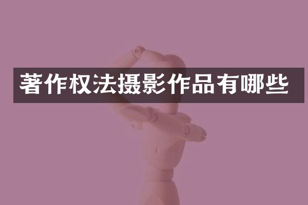 著作权法摄影作品有哪些