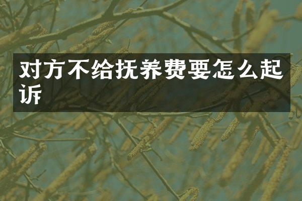 对方不给抚养费要怎么起诉