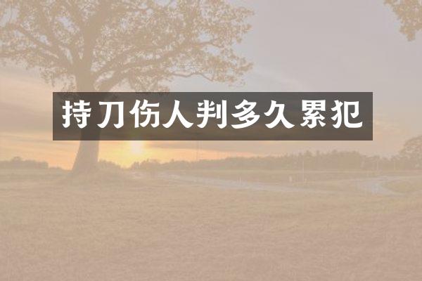 持刀伤人判多久