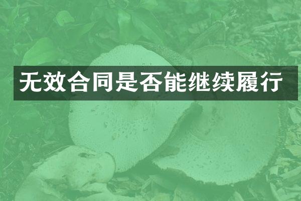 无效合同是否能继续履行