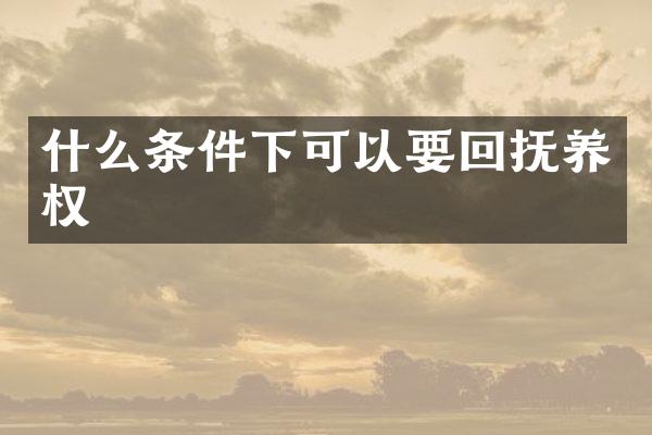 什么条件下可以要回抚养权