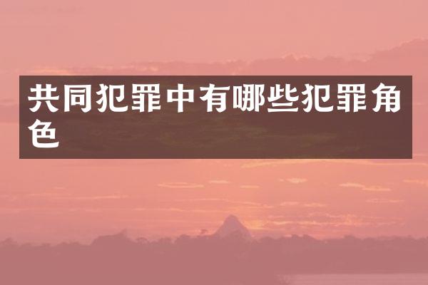 共同犯罪中有哪些犯罪角色