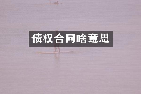 债权合同啥意思