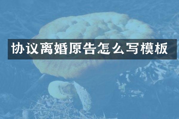 协议离婚原告怎么写模板