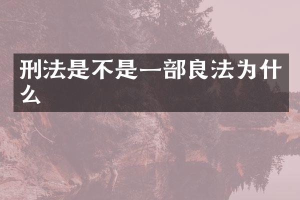 刑法是不是一部良法为什么