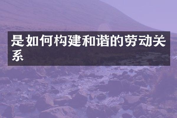 是如何构建和谐的劳动关系