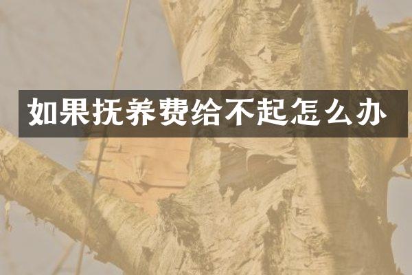 如果抚养费给不起怎么办