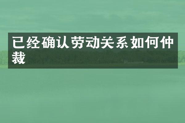 已经确认劳动关系如何仲裁