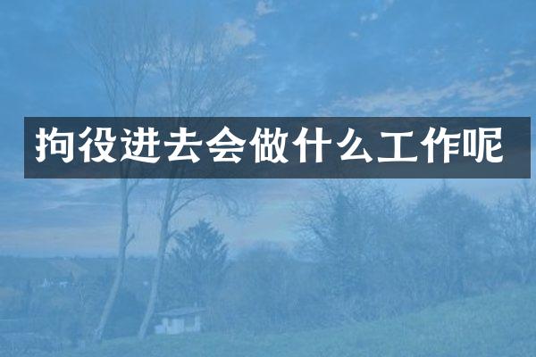 拘役进去会做什么工作呢