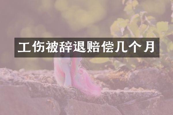 工伤被辞退赔偿几个月