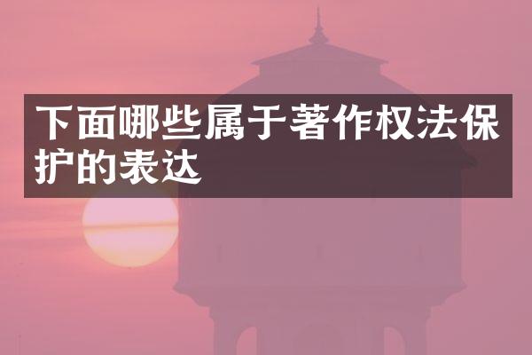 下面哪些属于著作权法保护的表达