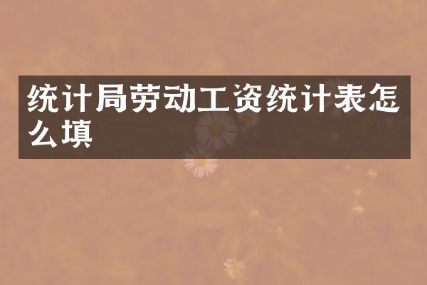 统计局劳动工资统计表怎么填