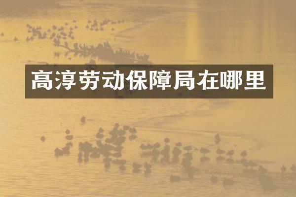 高淳劳动保障局在哪里