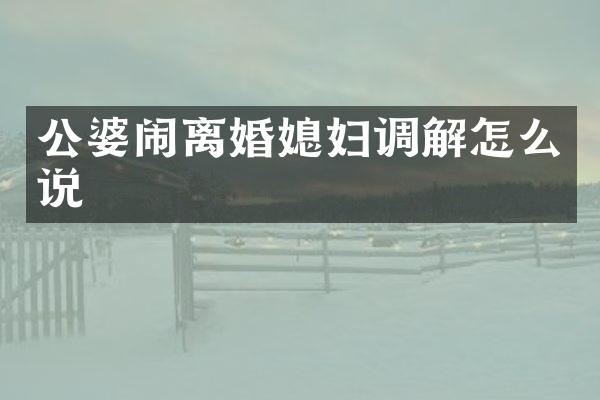 公婆闹离婚媳妇调解怎么说