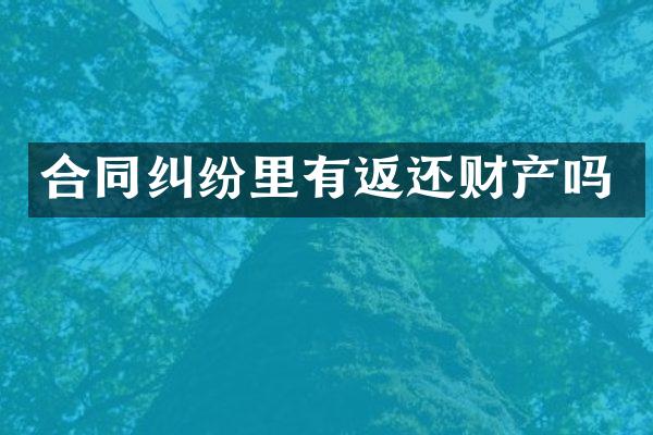 合同纠纷里有返还财产吗