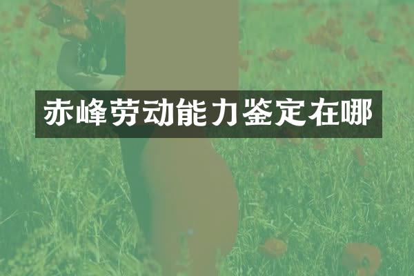 赤峰劳动能力鉴定在哪