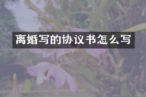 离婚写的协议书怎么写