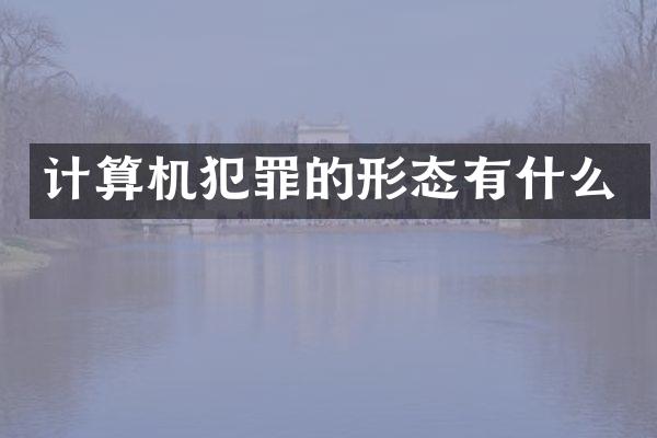 计算机犯罪的形态有什么