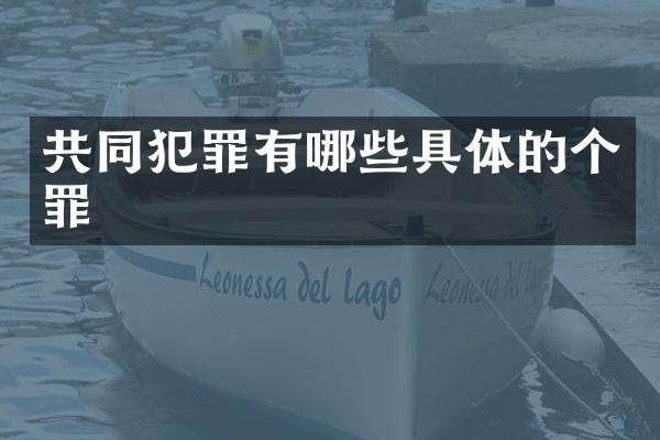 共同犯罪有哪些具体的个罪