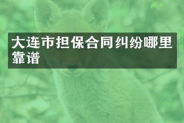大连市担保合同纠纷哪里靠谱